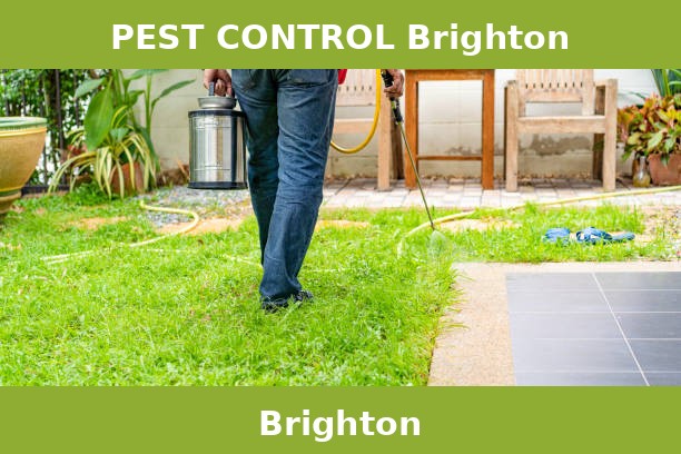PEST CONTROL Brighton